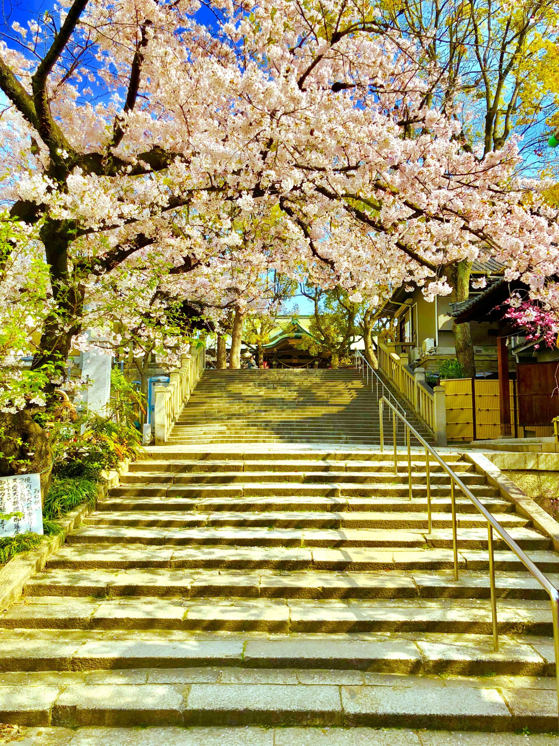 高津神社　不動産のエデン提供2