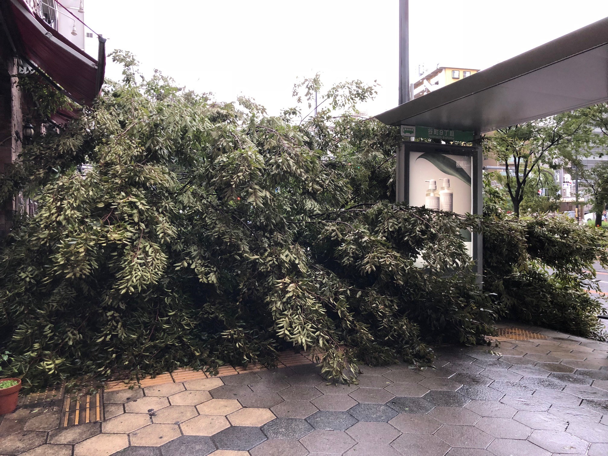 2018.9.4　谷町九丁目　台風被害　